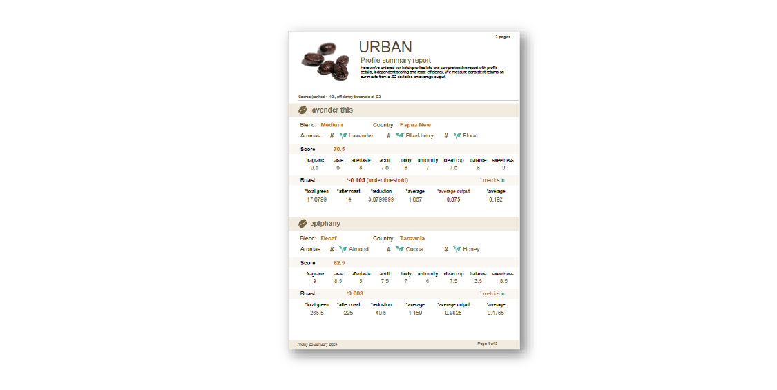 PDF Report Example
