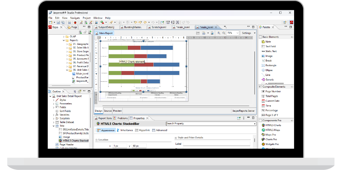 Report Designer Example